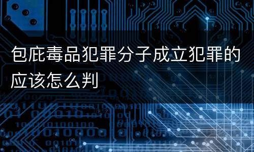 包庇毒品犯罪分子成立犯罪的应该怎么判