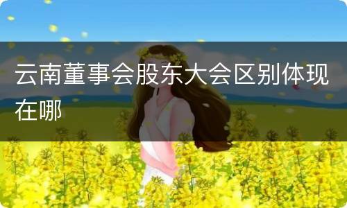 云南董事会股东大会区别体现在哪