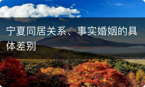 宁夏同居关系、事实婚姻的具体差别