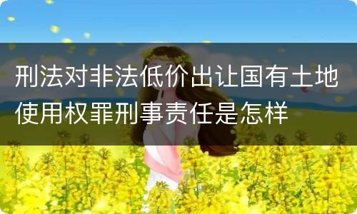 刑法对非法低价出让国有土地使用权罪刑事责任是怎样