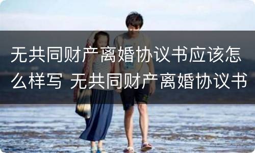 无共同财产离婚协议书应该怎么样写 无共同财产离婚协议书应该怎么样写才有效
