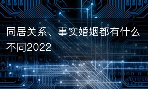同居关系、事实婚姻都有什么不同2022