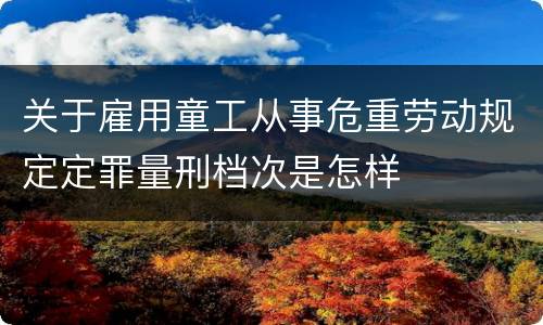 关于雇用童工从事危重劳动规定定罪量刑档次是怎样