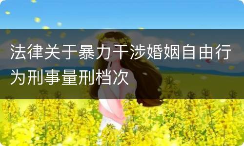 法律关于暴力干涉婚姻自由行为刑事量刑档次