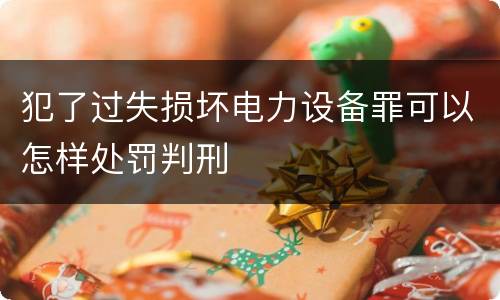 犯了过失损坏电力设备罪可以怎样处罚判刑