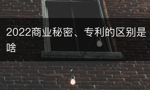 2022商业秘密、专利的区别是啥