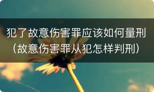 犯了故意伤害罪应该如何量刑（故意伤害罪从犯怎样判刑）