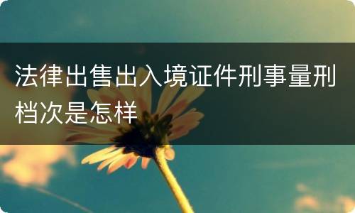 法律出售出入境证件刑事量刑档次是怎样