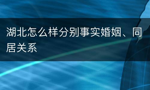 湖北怎么样分别事实婚姻、同居关系