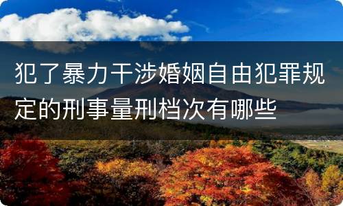 犯了暴力干涉婚姻自由犯罪规定的刑事量刑档次有哪些