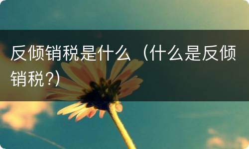 反倾销税是什么（什么是反倾销税?）