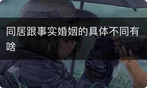 同居跟事实婚姻的具体不同有啥