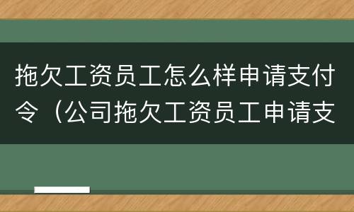 拖欠工资员工怎么样申请支付令（公司拖欠工资员工申请支付令需要付钱吗）