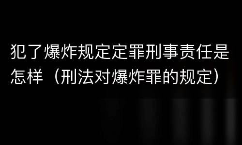 犯了爆炸规定定罪刑事责任是怎样（刑法对爆炸罪的规定）