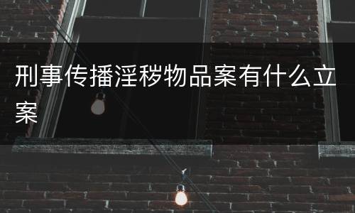 刑事传播淫秽物品案有什么立案