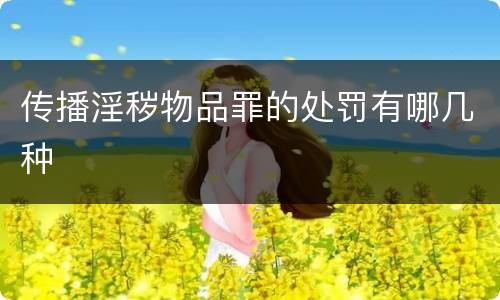 传播淫秽物品罪的处罚有哪几种