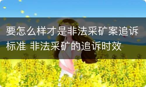 要怎么样才是非法采矿案追诉标准 非法采矿的追诉时效