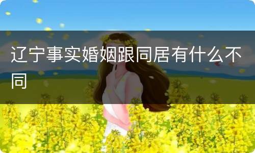 辽宁事实婚姻跟同居有什么不同