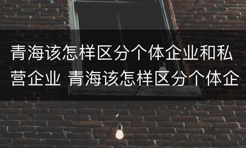 青海该怎样区分个体企业和私营企业 青海该怎样区分个体企业和私营企业的区别
