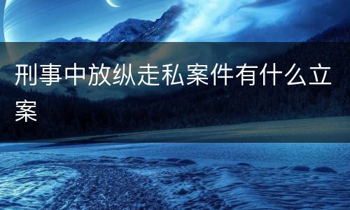 刑事中放纵走私案件有什么立案