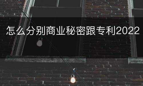 怎么分别商业秘密跟专利2022