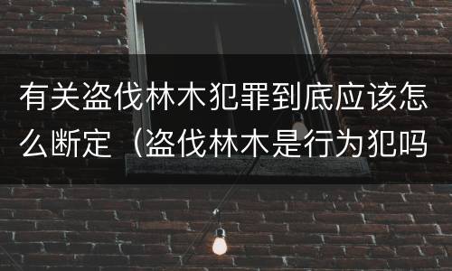 有关盗伐林木犯罪到底应该怎么断定（盗伐林木是行为犯吗）