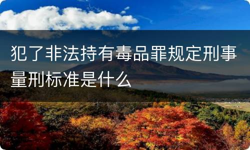 犯了非法持有毒品罪规定刑事量刑标准是什么