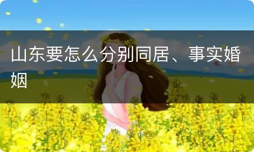山东要怎么分别同居、事实婚姻
