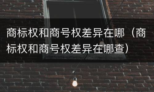 商标权和商号权差异在哪（商标权和商号权差异在哪查）