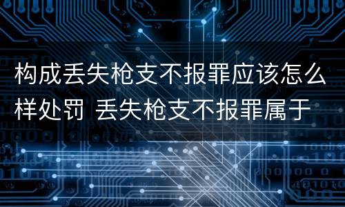 构成丢失枪支不报罪应该怎么样处罚 丢失枪支不报罪属于
