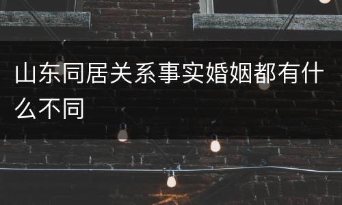 山东同居关系事实婚姻都有什么不同