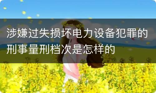 涉嫌过失损坏电力设备犯罪的刑事量刑档次是怎样的