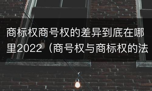 商标权商号权的差异到底在哪里2022（商号权与商标权的法律冲突与解决）