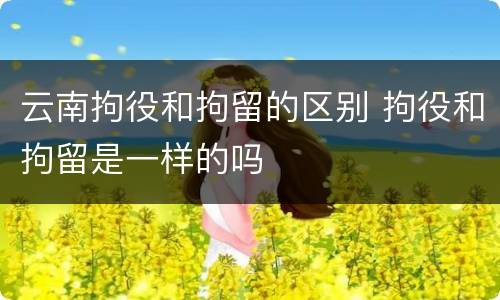 云南拘役和拘留的区别 拘役和拘留是一样的吗