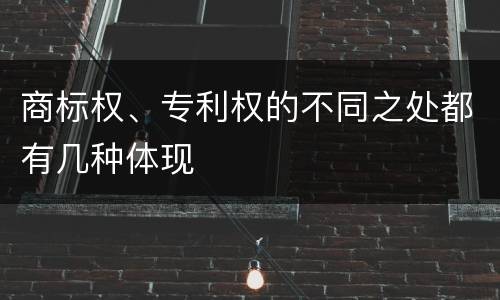商标权、专利权的不同之处都有几种体现