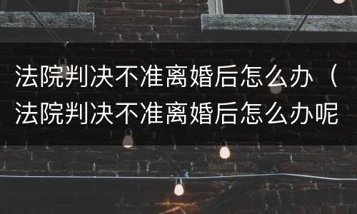 法院判决不准离婚后怎么办（法院判决不准离婚后怎么办呢）