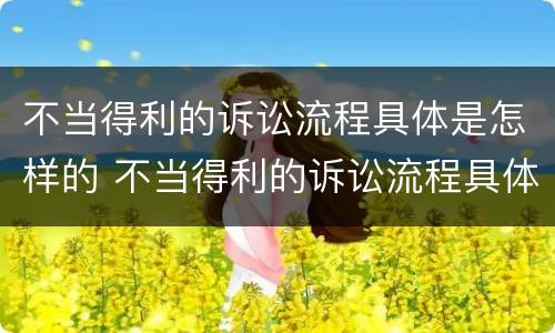 不当得利的诉讼流程具体是怎样的 不当得利的诉讼流程具体是怎样的情形