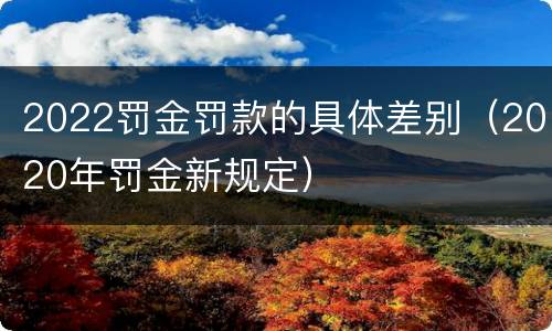 2022罚金罚款的具体差别（2020年罚金新规定）
