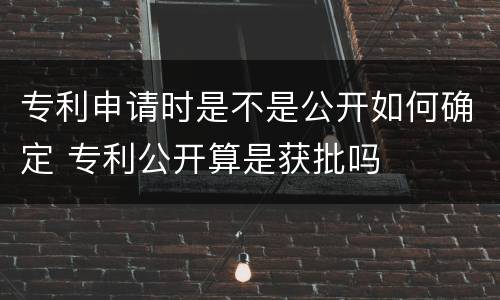 专利申请时是不是公开如何确定 专利公开算是获批吗