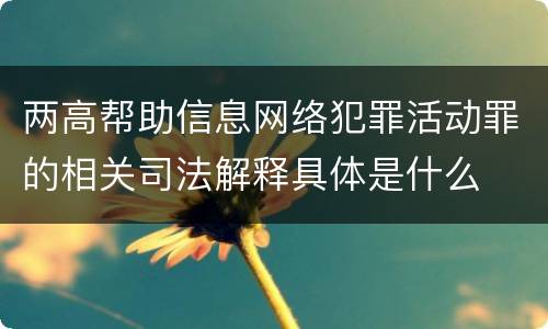 两高帮助信息网络犯罪活动罪的相关司法解释具体是什么