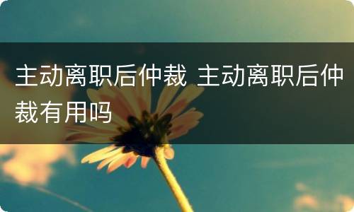 主动离职后仲裁 主动离职后仲裁有用吗