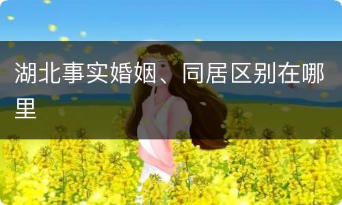 湖北事实婚姻、同居区别在哪里