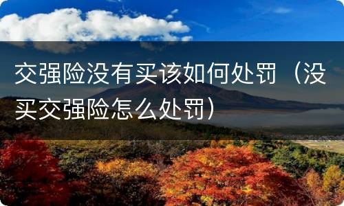交强险没有买该如何处罚（没买交强险怎么处罚）
