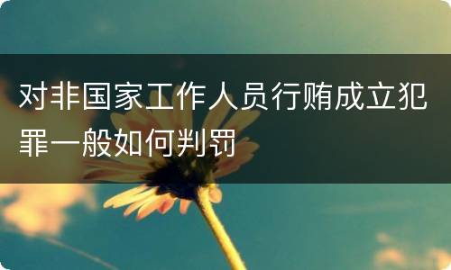对非国家工作人员行贿成立犯罪一般如何判罚