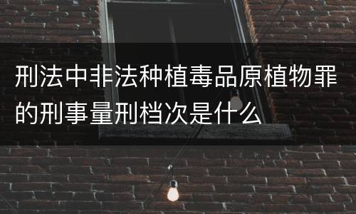 刑法中非法种植毒品原植物罪的刑事量刑档次是什么