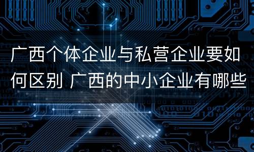 广西个体企业与私营企业要如何区别 广西的中小企业有哪些