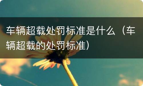 车辆超载处罚标准是什么（车辆超载的处罚标准）