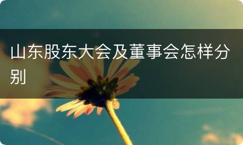 山东股东大会及董事会怎样分别
