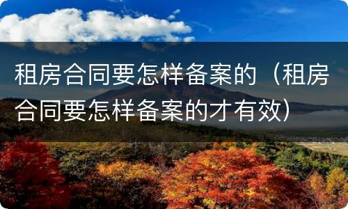 租房合同要怎样备案的（租房合同要怎样备案的才有效）