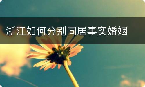 浙江如何分别同居事实婚姻